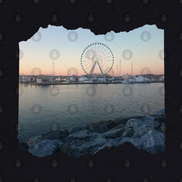 Photography Sunset by the ocean city in USA design carousel by BoogieCreates